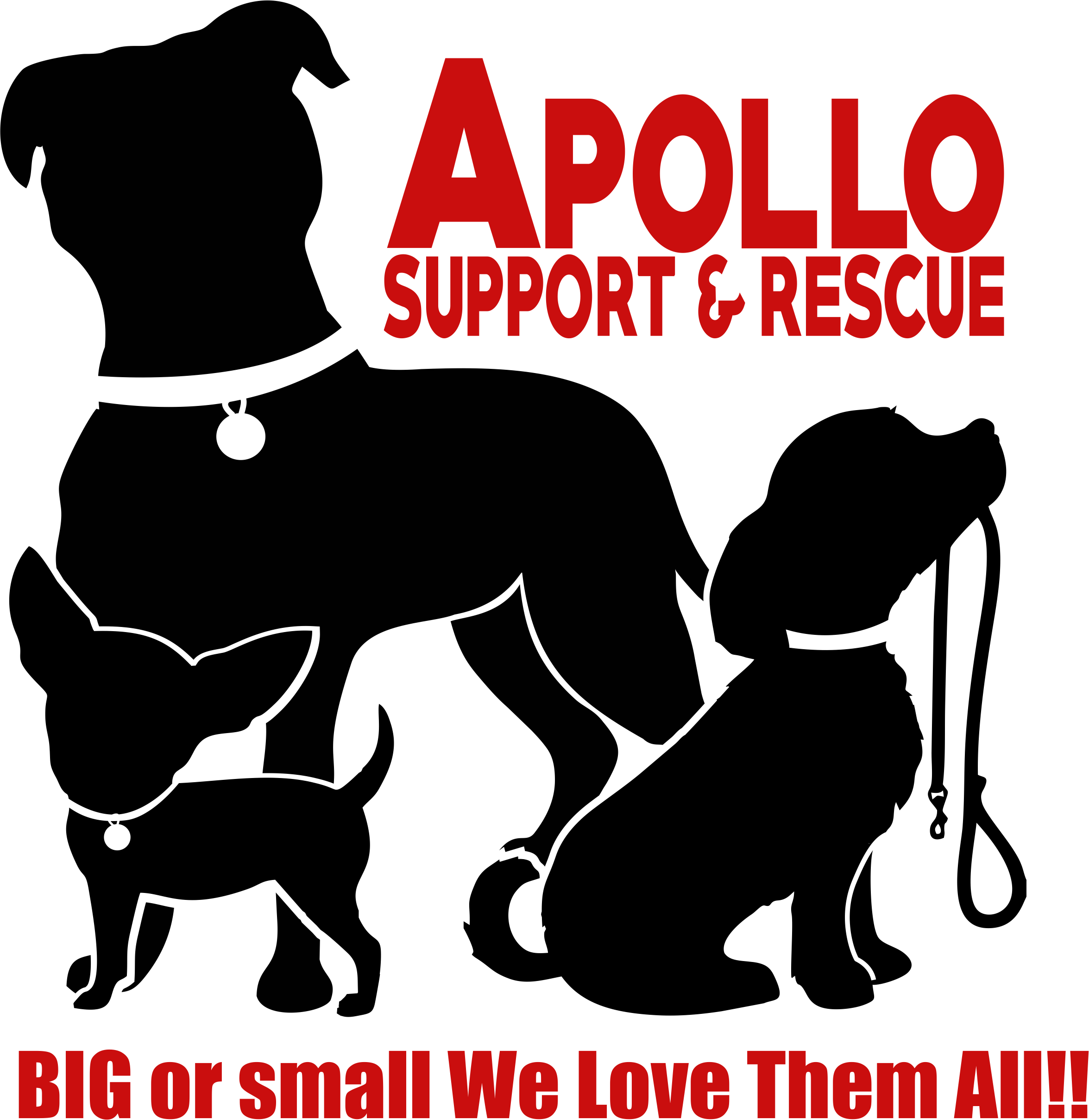 Apollo Animal Support & Rescue